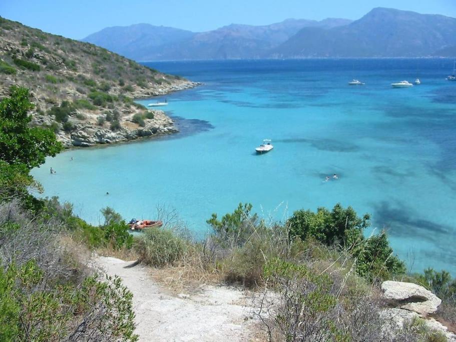 Studio Centre Ville Saint-Florent A 100M De La Mer Εξωτερικό φωτογραφία